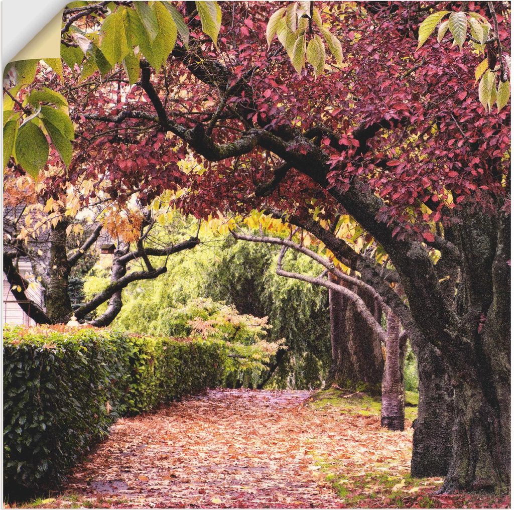 ARTland Wandbild, selbstklebend Baumbogen Größe: 40x40 cm