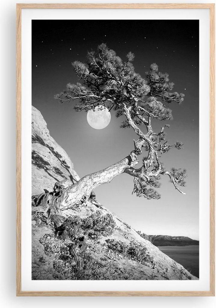 Gerahmtes Poster - Rahmen in heller Eiche - Voll der Mond Baum - 61x91,5 cm - Wand Bild - Wanddeko - Wandbilder - Kunstposter - Wandposter - Bilder...