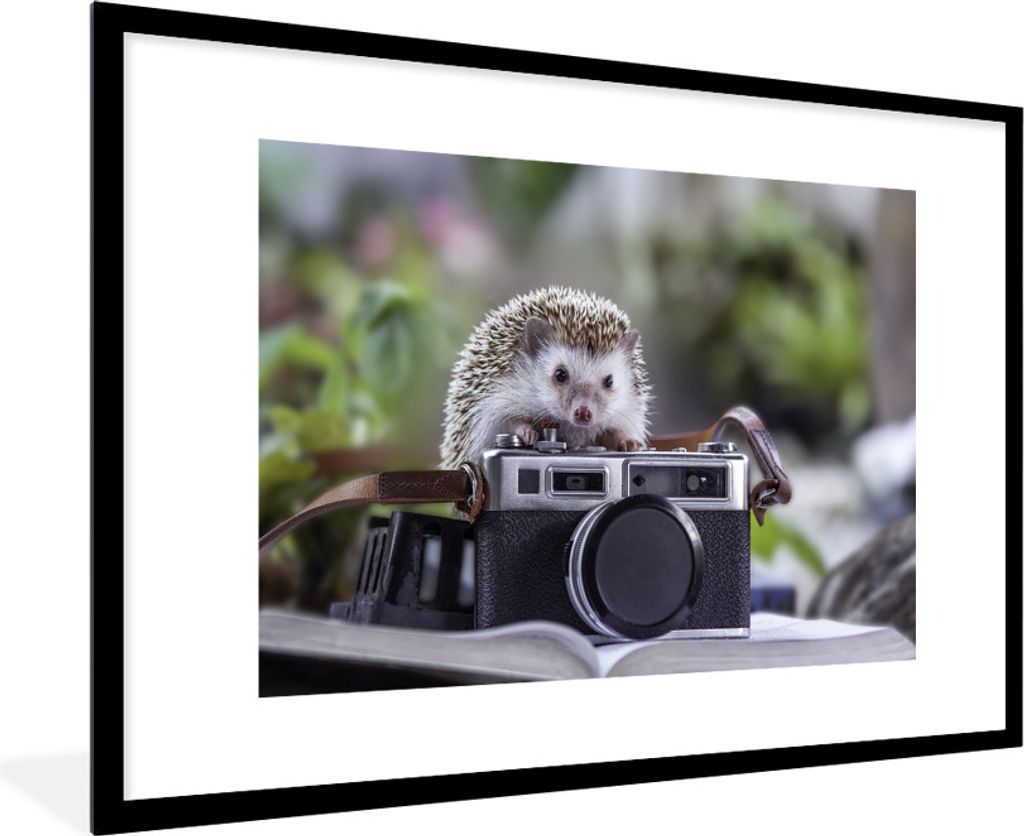 MuchoWow Gerahmtes Poster Igel auf einer Kamera 90x60 cm - Poster mit Schwarzem Bilderrahmen Wandposter Rahmen Foto Bilder - Wanddekoration - Fotos
