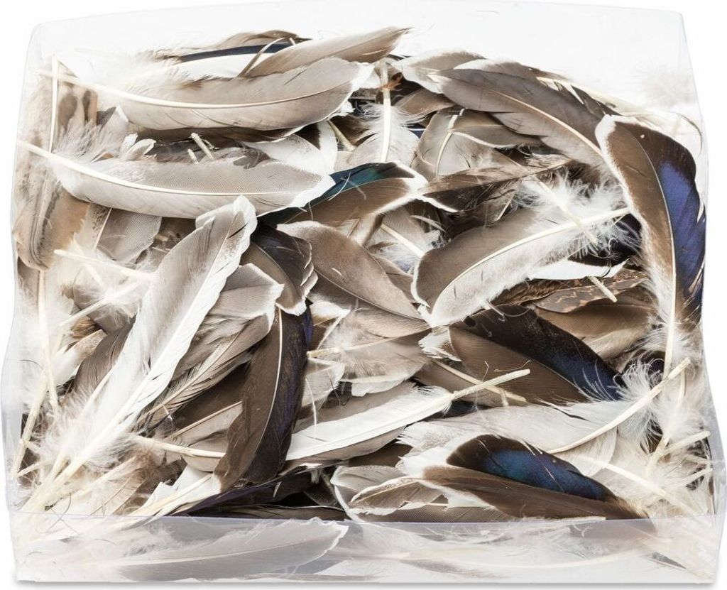 Entenfedern Natur, ca. 10cm verpackt mit ca.45 Gramm | Enten Federn für Bastelprojekte und Traumfänger | Federn zum Basteln und Dekorieren | Deko...