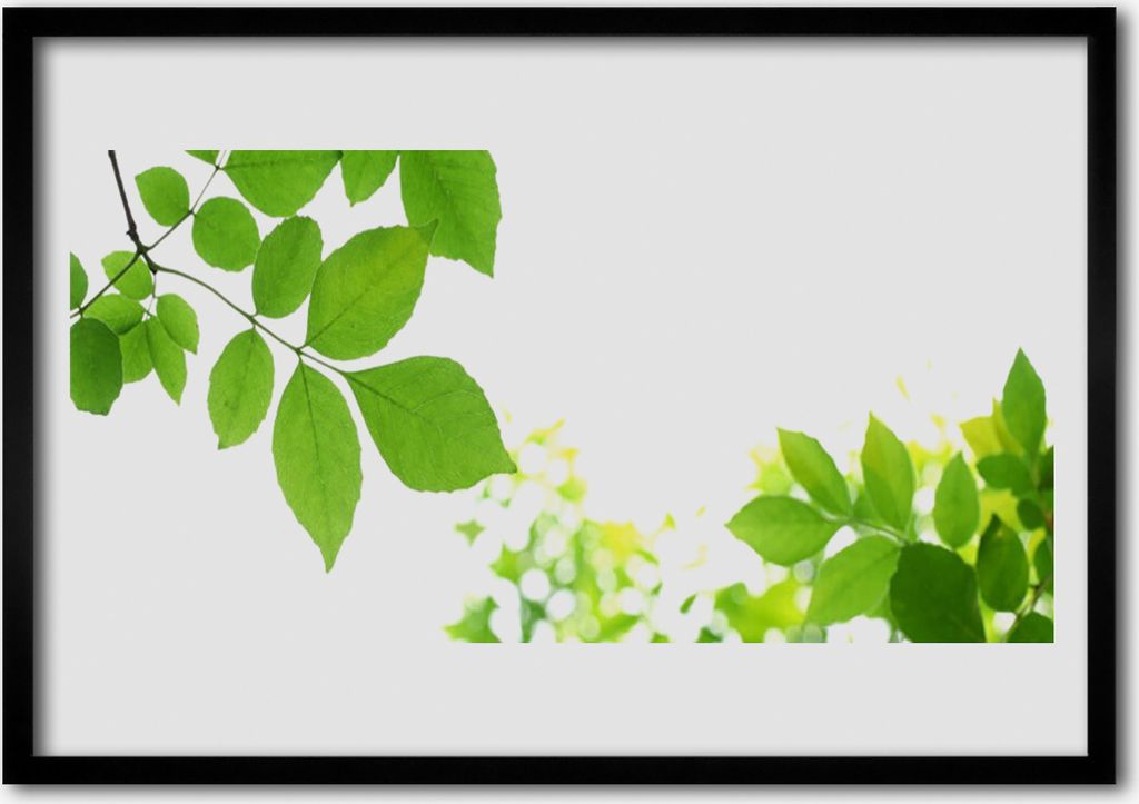 Bild 100x70 MDF-Rahmen Wandkunst Natur Blütenblätter Produktbild 