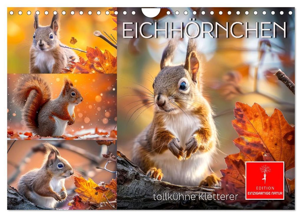 Eichhörnchen - tollkühne Kletterer (Wandkalender 2027 DIN A4 quer), CALVENDO Monatskalender