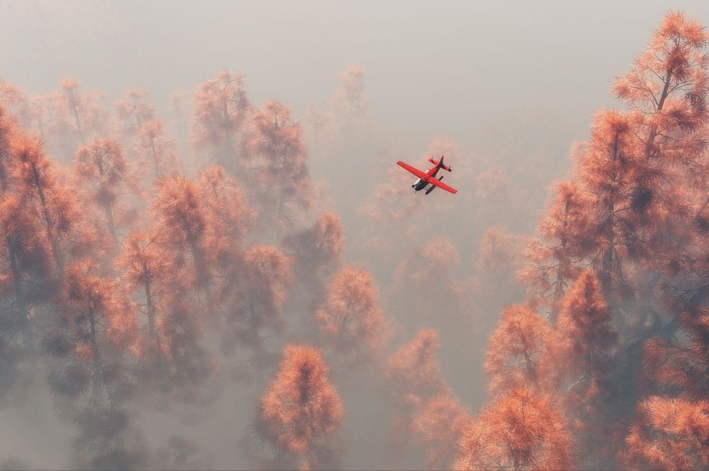 Muralo Fototapete Wald im Nebel 312 (B) x 219 (H) cm Vlies Tapete Wandtapeten Bäume Luftzeug Wohnzimmer Schlafzimmer moderne Wandbilder XXL Landsc...