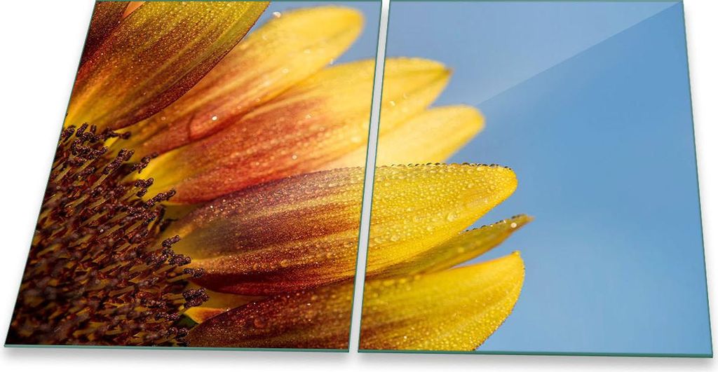 Herdabdeckplatte Glaskeramik 2-Teilig 2x40x52 Sonnenblume Gelb Abdeckung Spritzschutz