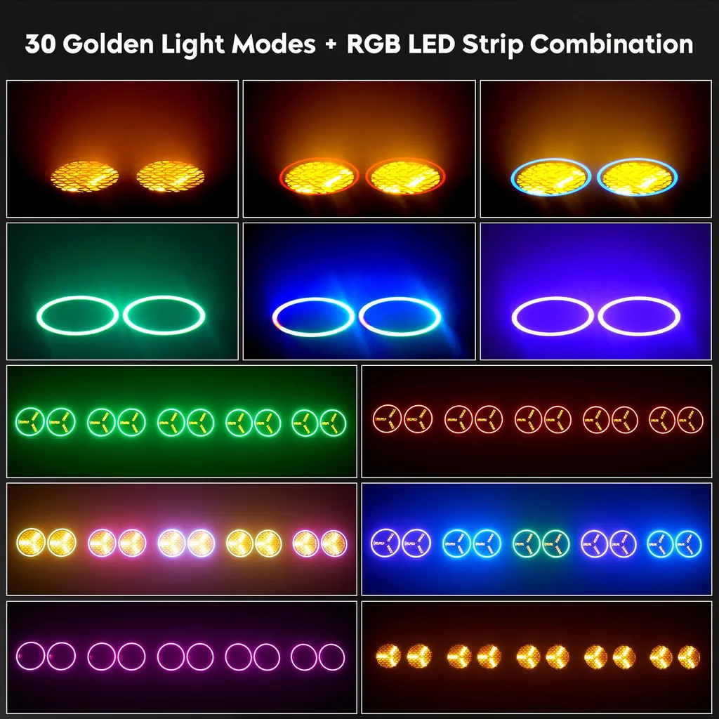 Lot de 2 Projecteurs de Scène LED DMX Haute Efficacité - Prise EU