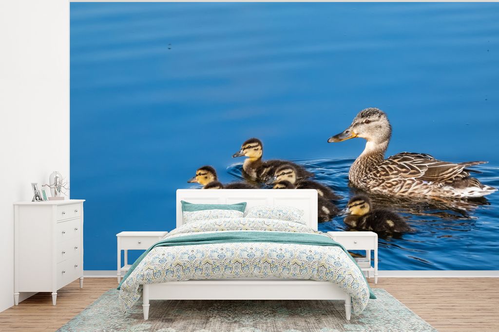 MuchoWow Fototapete für Wohnzimmer oder Schlafzimmer Wandtapete Vinyl Motivtapete Ente - Wasser - Vogel - Braun - 350x260 cm - Wohnzimmer-Tapete