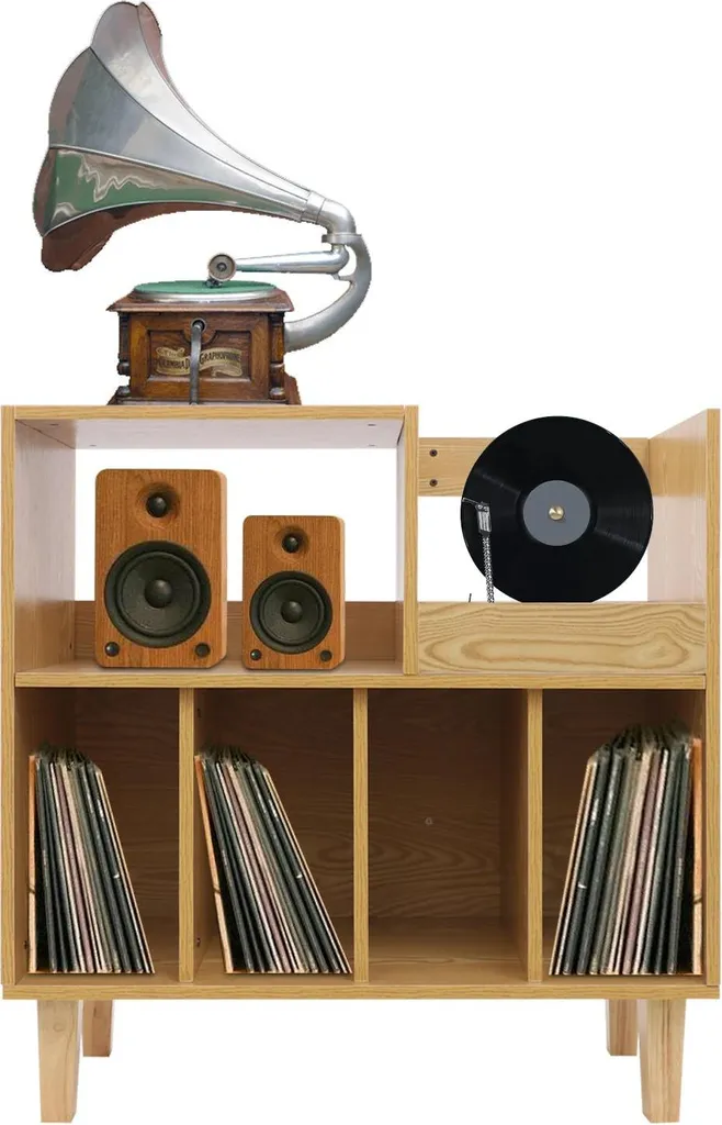 Meuble Vinyle Autoportant en Bois avec Compartiments LP et CD Design