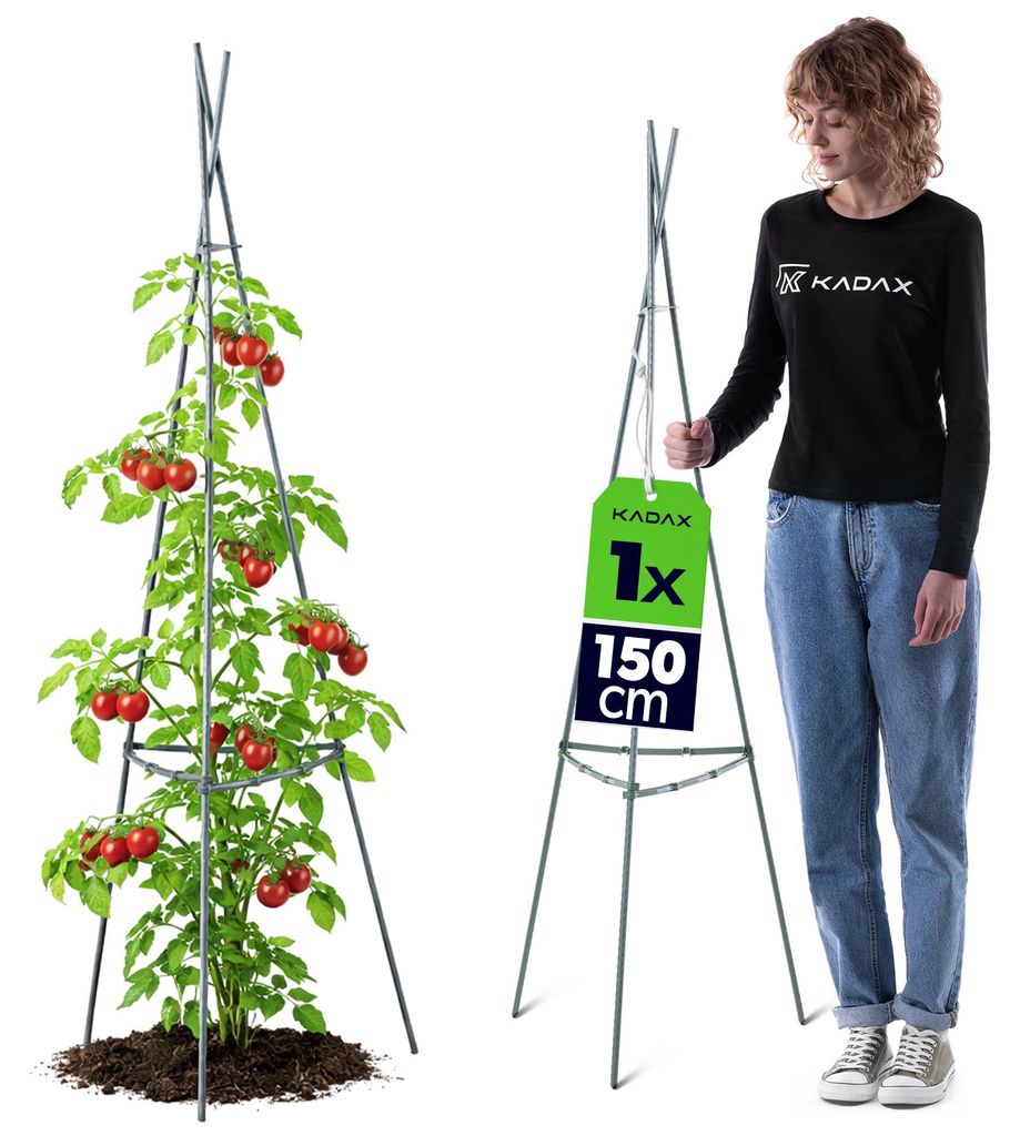 KADAX Obelisk – podpórka do pnączy 150 cm, 1 sztuka, Zdjęcie produktu 