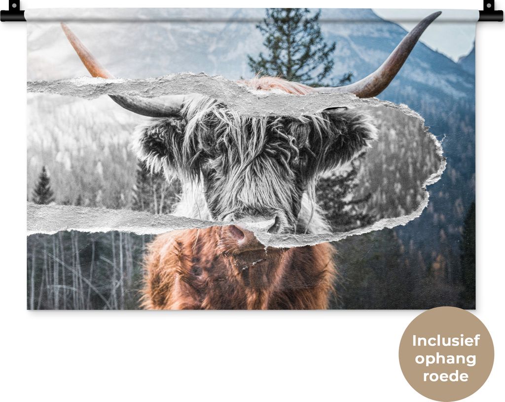 MuchoWow Wandteppich Wandbehang Schottisches Hochlandrind - Kuh - Schwarz - Weiß 60x40 cm Tapisserie Dekoration Wandtuch - Wanddekorationen