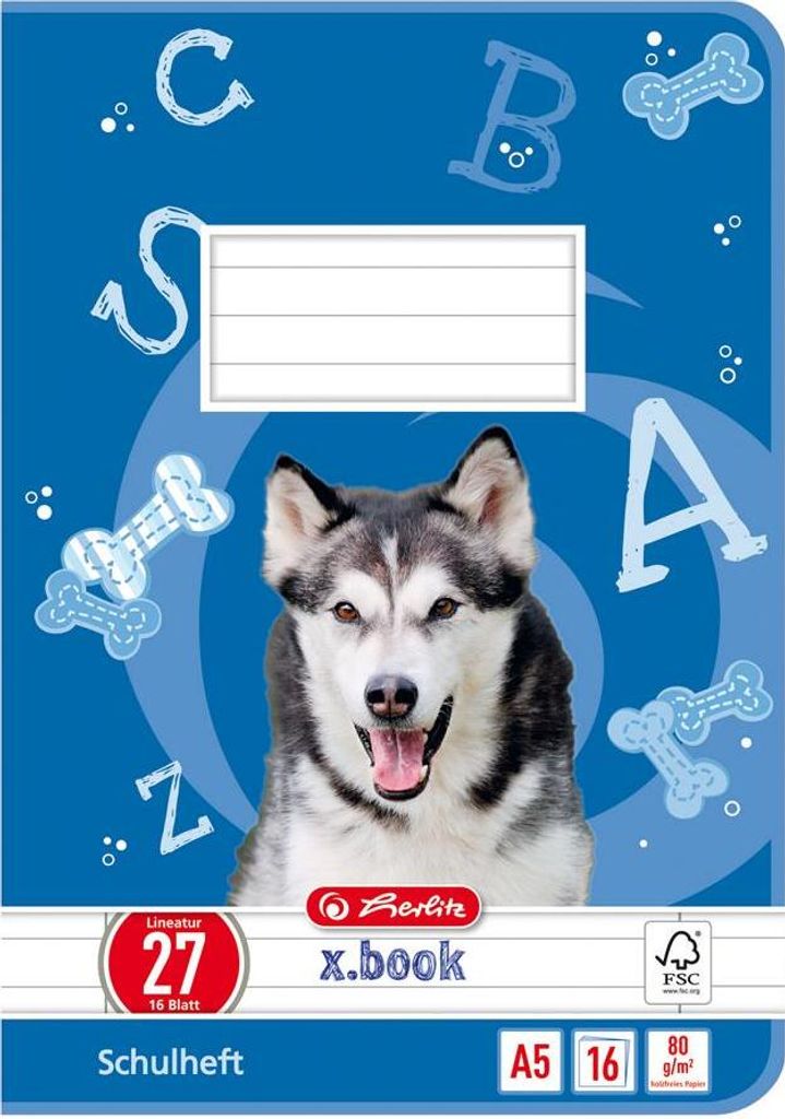 10 Herlitz Schulhefte / DIN A5 / 16 Blatt / Lineatur 27