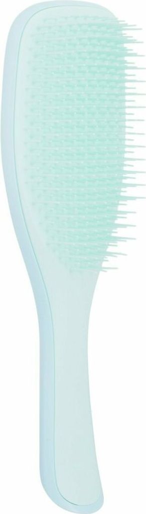 Tangle Teezer Wet Detangling Hairbrush