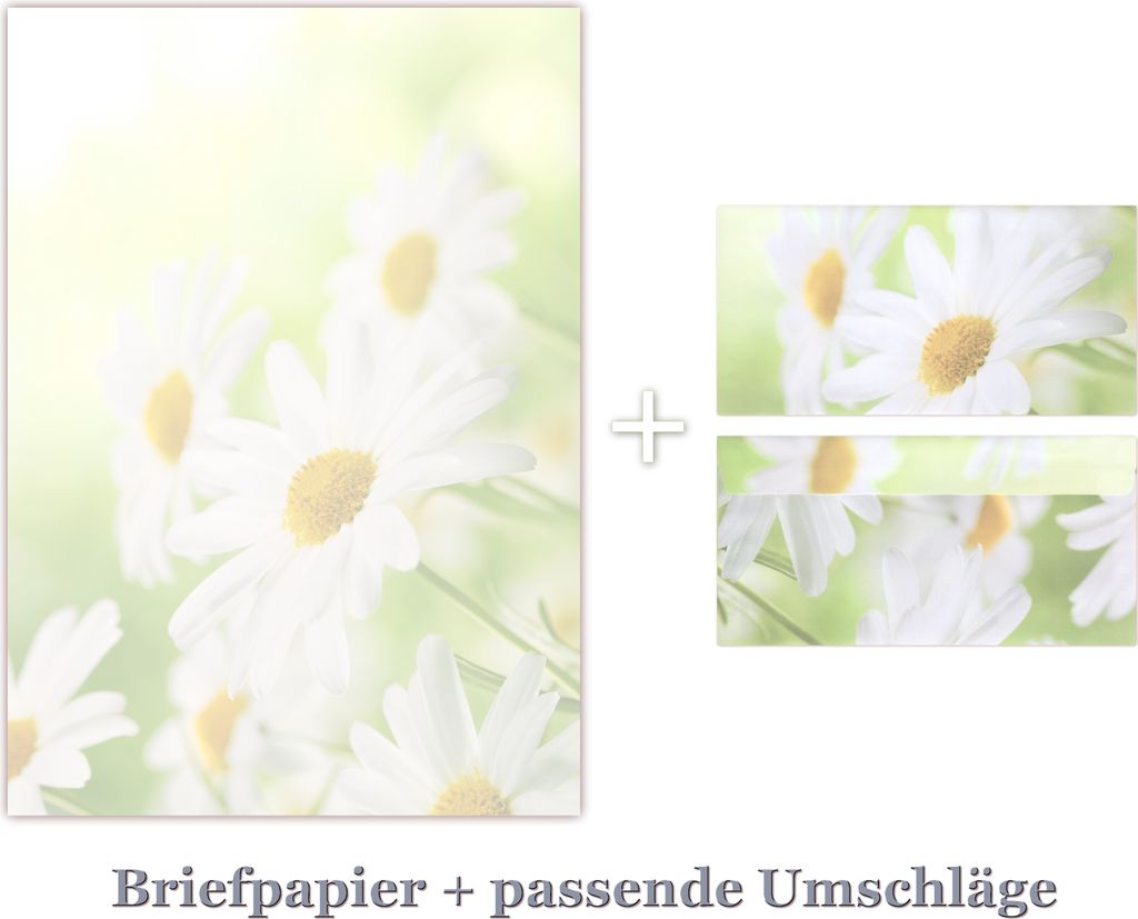 100 Blatt Briefpapier DIN A4 + 100 Stück Umschläge 5031 Blumen Margeriten Motivpapier / Premium Briefumschläge DIN lang (110 X 220mm) mit Motiv ...
