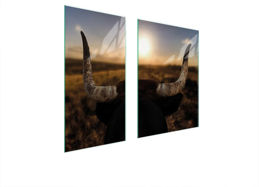 Piastre Copri Fornelli 75x52 in Vetro Temperato Bull Sun - Set 2 Pezzi