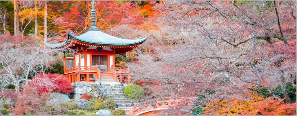 Wallario selbstklebendes Poster - Japanischer Herbstzauber, Größe: 50 x 125 cm