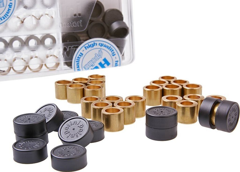 Polini Abstimmset Variomatik 16 x 13mm kompatibel mit 5,5gr - 6,0gr - 6,5gr - 7,0gr