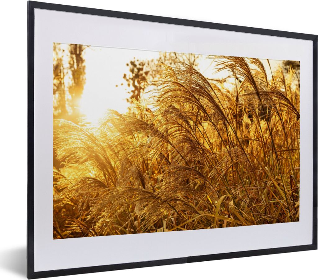 MuchoWow Gerahmtes Poster Pampasgras - Sonne - Gras 40x30 cm - Poster mit Schwarzem Bilderrahmen Wandposter Rahmen Foto Bilder - Bilderrahmen - P...