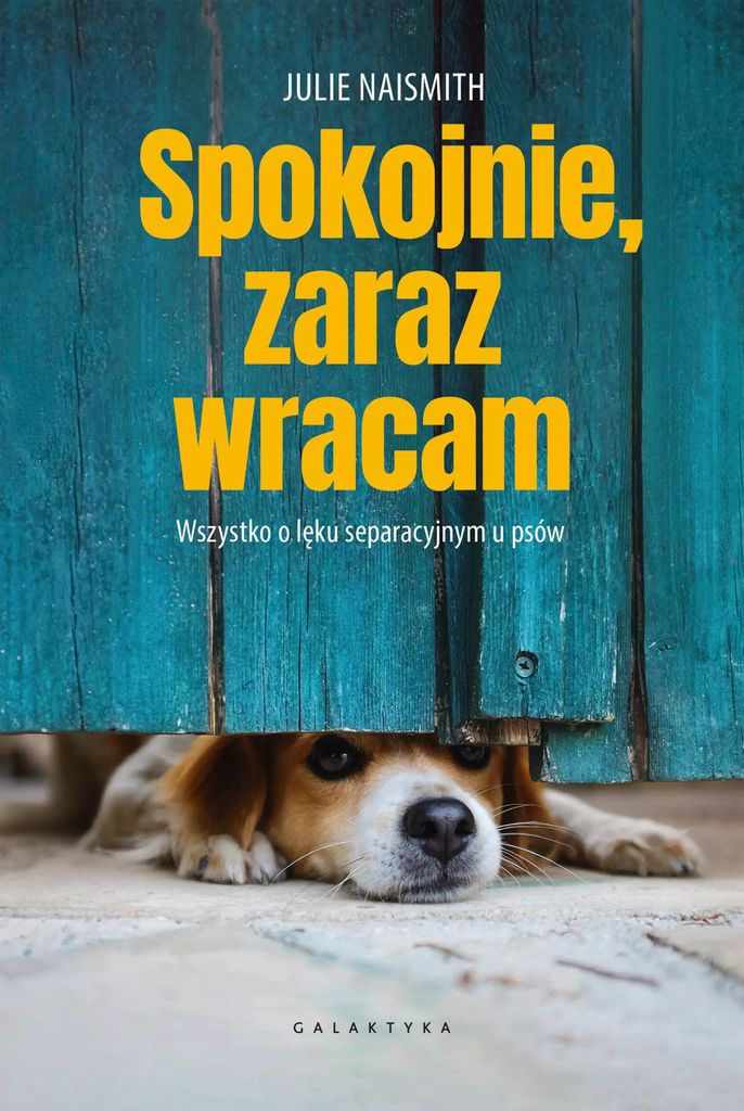 Spokojnie, zaraz wracam - Julie Naismith (Ratgeber auf Polnisch)