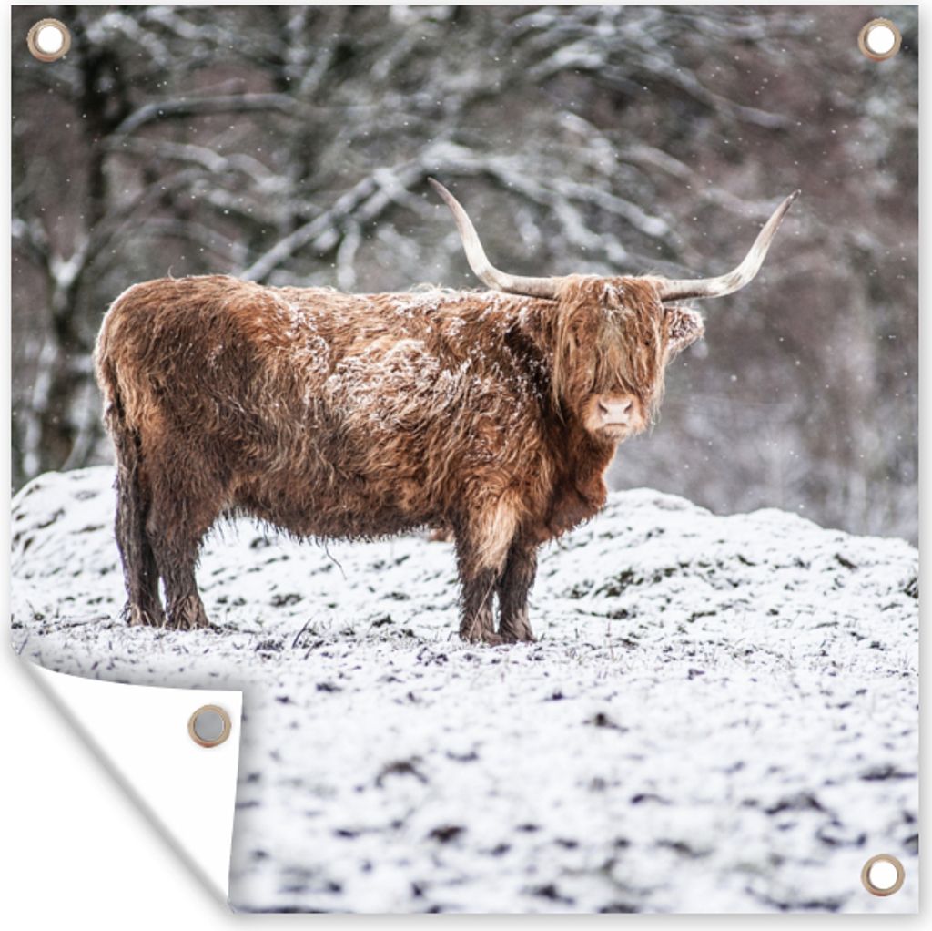 MuchoWow 50x50 cm Outdoor-Poster Gartendeko Sichtschutz Garten Poster für den Garten Schottischer Highlander - Baum - Schnee