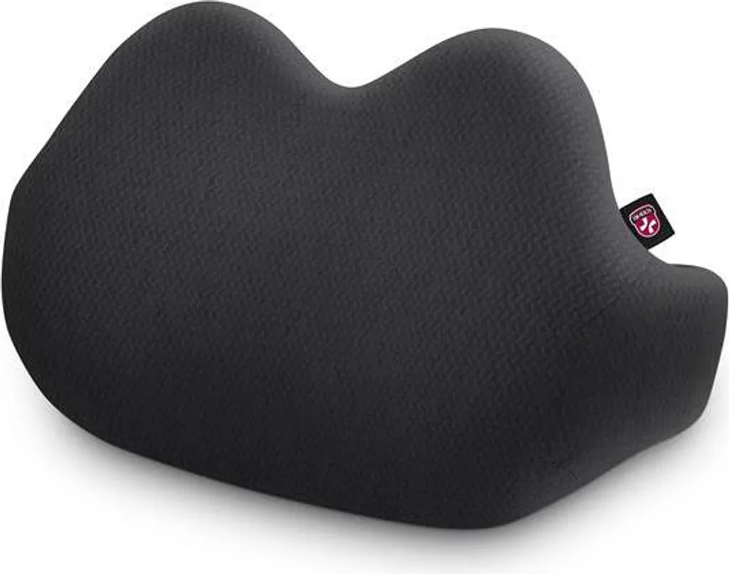 Support lombaire pour chaise de bureau BetaPro, idéal télétravail et dos