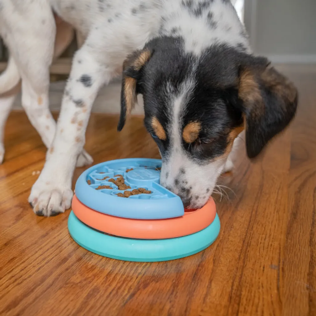 Nina Ottosson Lickin' Layers - Il Puzzle Feeder per Cani che non si Fermano Mai - 6
