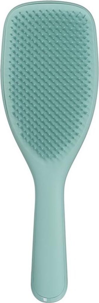 A teal hairbrush is shown against a white background.