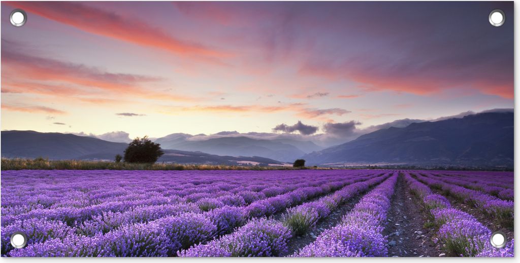 MuchoWow 60x30 cm Outdoor-Poster Gartendeko Sichtschutz Garten Poster für den Garten Sonnenuntergang über Lavendel