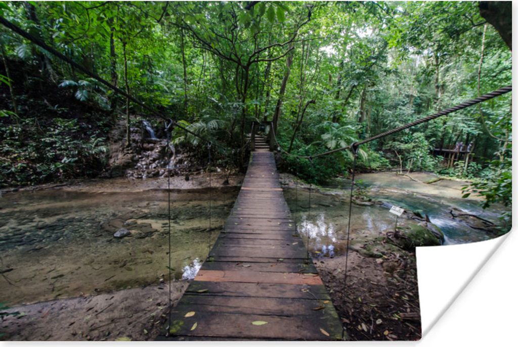 MuchoWow Poster Brücke im Dschungel bei Palenque in Mexiko 30x20 cm - Plakate - Print