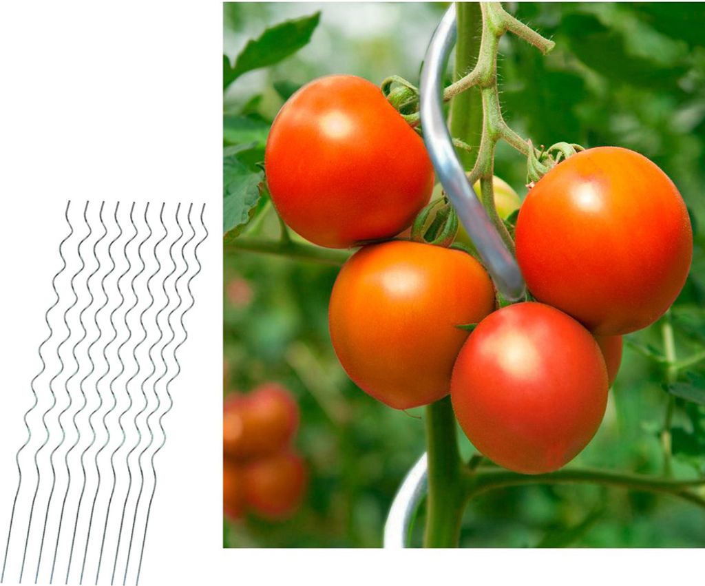 Tomatenstäbe Tomatenspiralstab Tomatenstange 10er Set 110cm Pflanzstab Spiralstäbe