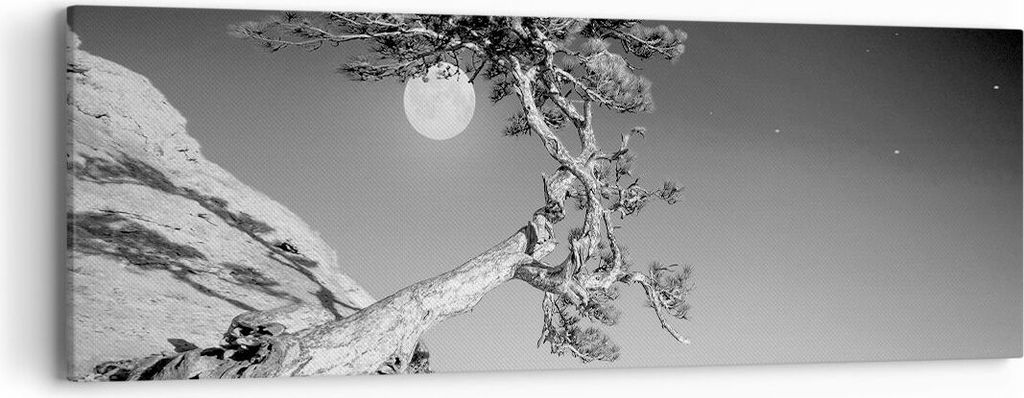 Bild auf Leinwand - Leinwandbild - Einteilig - Voll der Mond Baum - 90x30cm - Wand Bild - Wanddeko - Wandbilder - Leinwanddruck - Bilder - Wanddeko...