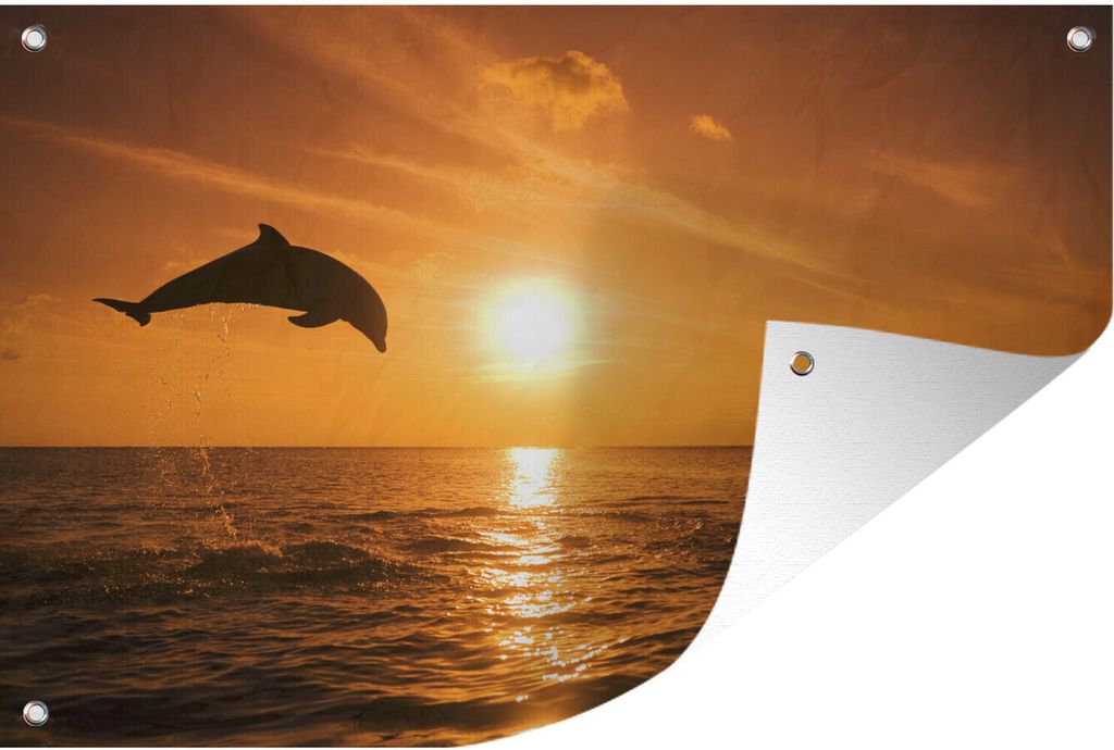 MuchoWow 60x40 cm Outdoor-Poster Gartendeko Sichtschutz Garten Poster für den Garten Delfin - Sonne - Meer
