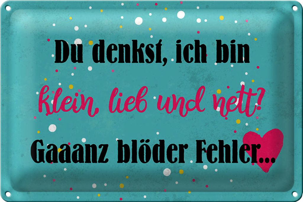 Blechschild Spruch 30x20cm du denkst ich bin klein lieb