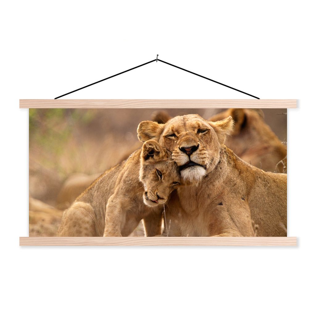 MuchoWow Textilposter Löwe - Wilde Tiere - Jungtier 120x60 cm mit holzfarbenen Rahmen - Klemmleiste