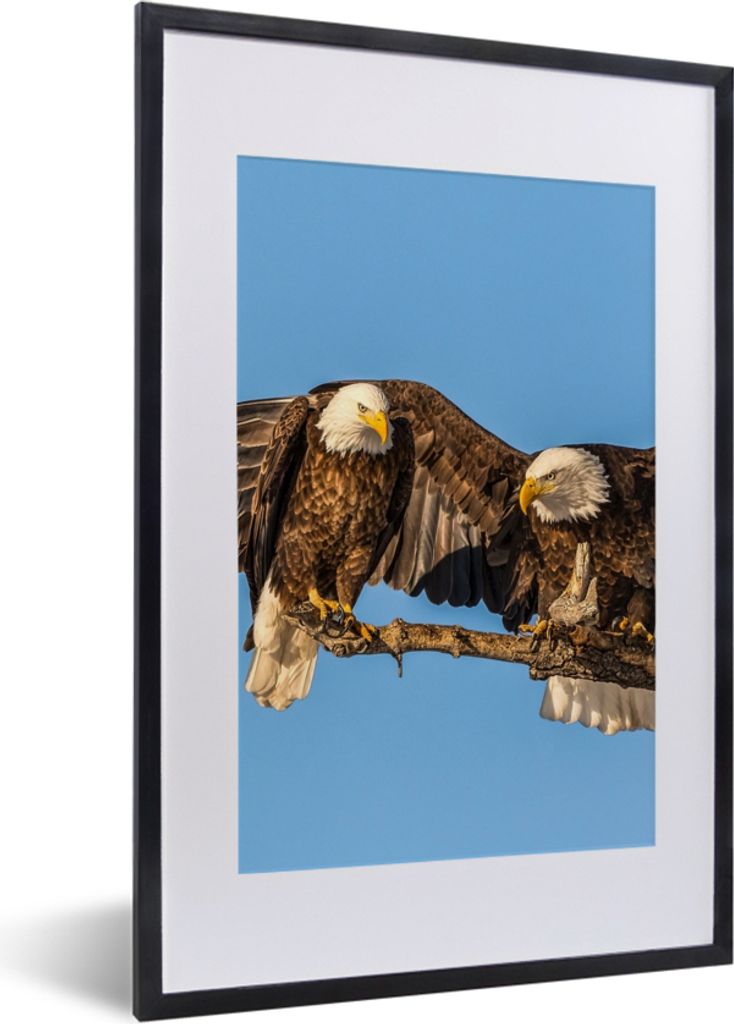 MuchoWow Gerahmtes Poster Vogel - Äste - Adler - Raubvögel - Luft 40x60 cm - Poster mit Schwarzem Bilderrahmen Wandposter Rahmen Foto Bilder - ...