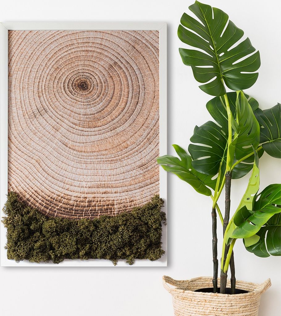 Moosbild mit Echtem Isländisch Moos - 40x60 cm - Weißer Produktbild 