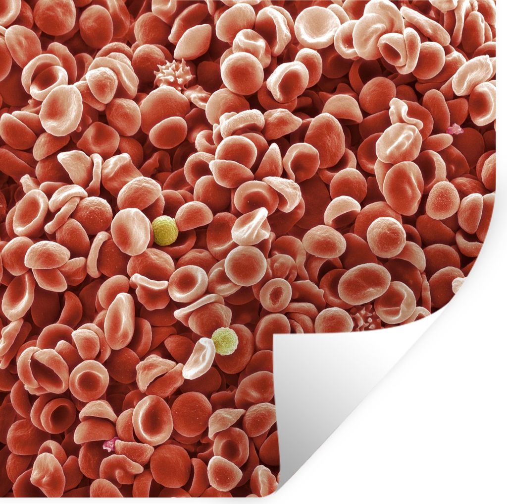 MuchoWow - Repositionierbar - Wasser abweisend