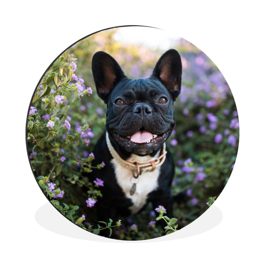 MuchoWow Aluminium Wandkreis Französische Bulldogge - Blumen - Lila Ø 90 cm Wanddeko Modern Wohnzimmer - Mauerkreis - Wandbilder - Runde Bild -...