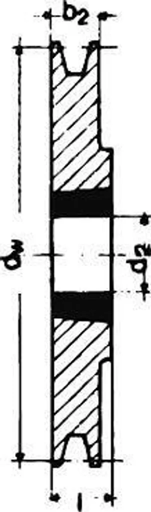 Disco scanalato a V SPZ/10, 2 scanalature, 200 mm, boccola conica 2012