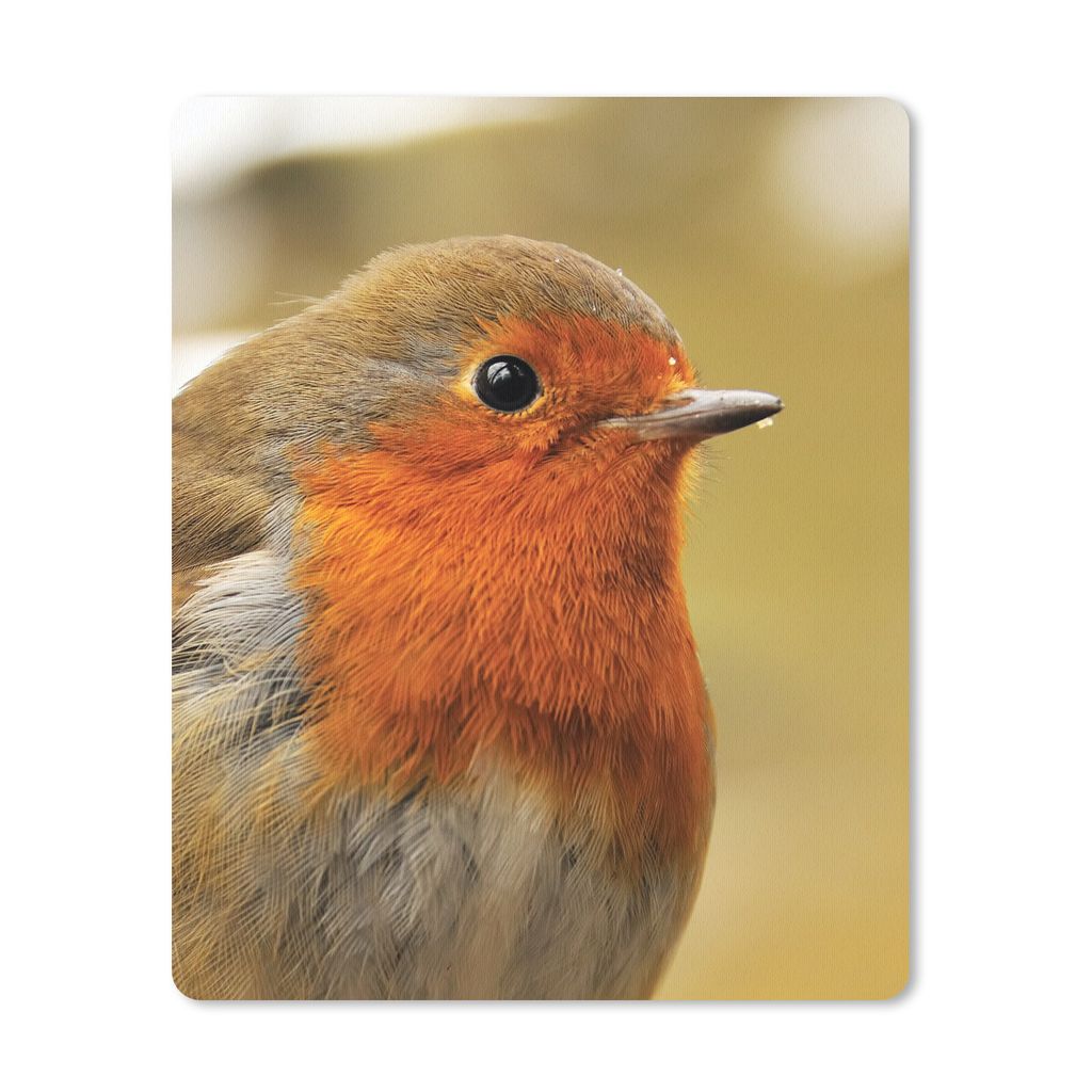 MuchoWow Mauspad Mousepad Vogel - Rotkehlchen - Porträt 30x40 cm - Mousepads - Maus Mat - Pad - Mausunterlage - Mausmatten