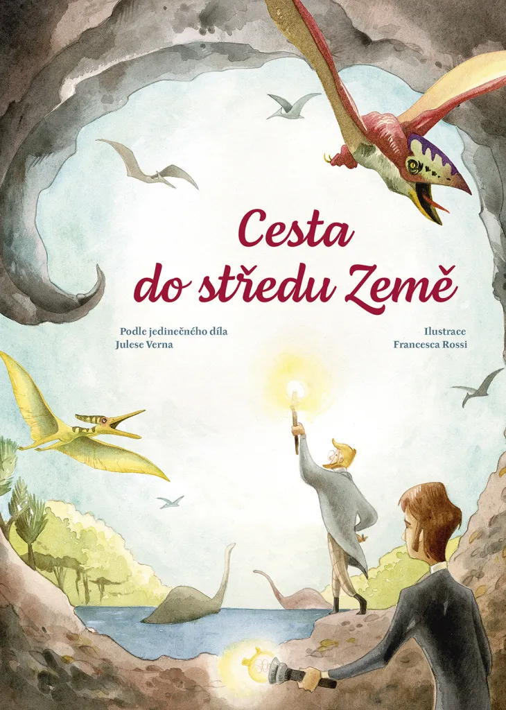 Roman Voyage au Centre de la Terre Edition Illustrée pour Collection