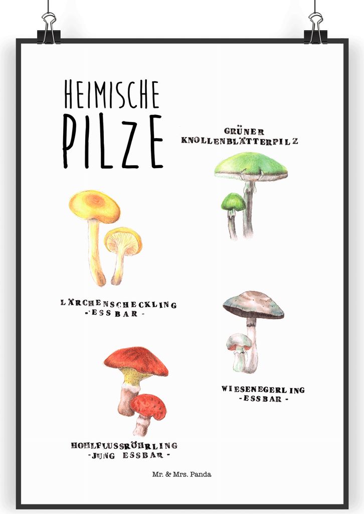 Mr. & Mrs. Panda Bild Heimische Pilze DIN A4 - Geschenk, wanddeko, Pilz, Plakat, Glückspilz, kunstposter, drucke, Dekoration, Wandbild