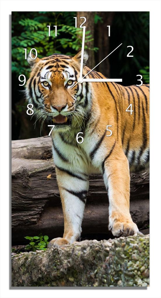 Wallario Design Wanduhr Blick des Tigers aus Echtglas, Größe 30 x 60 cm