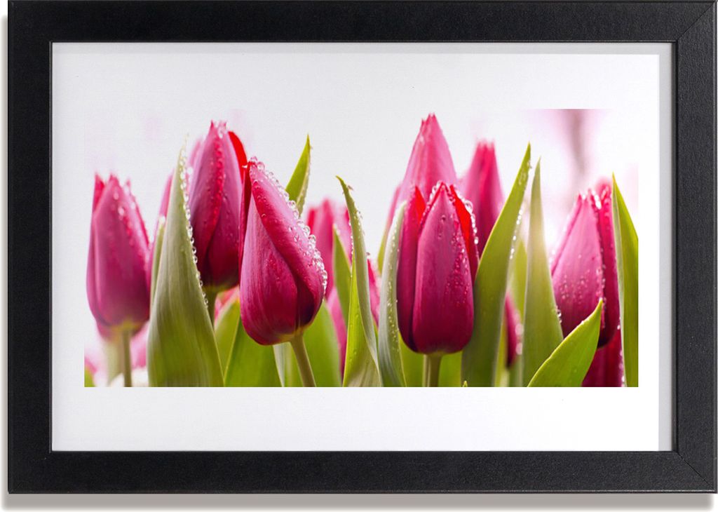 Bild 30x20 MDF-Rahmen Wandkunst Tulpen Blumen Pflanze
