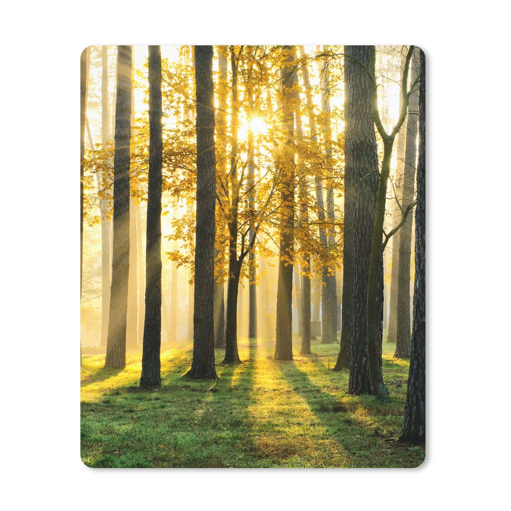 MuchoWow Mauspad Mousepad Wald - Sonne - Bäume - Gras - Landschaft - Natur 19x23 cm - Mousepads - Maus Mat - Pad - Mausunterlage - Mauspads - Sp...