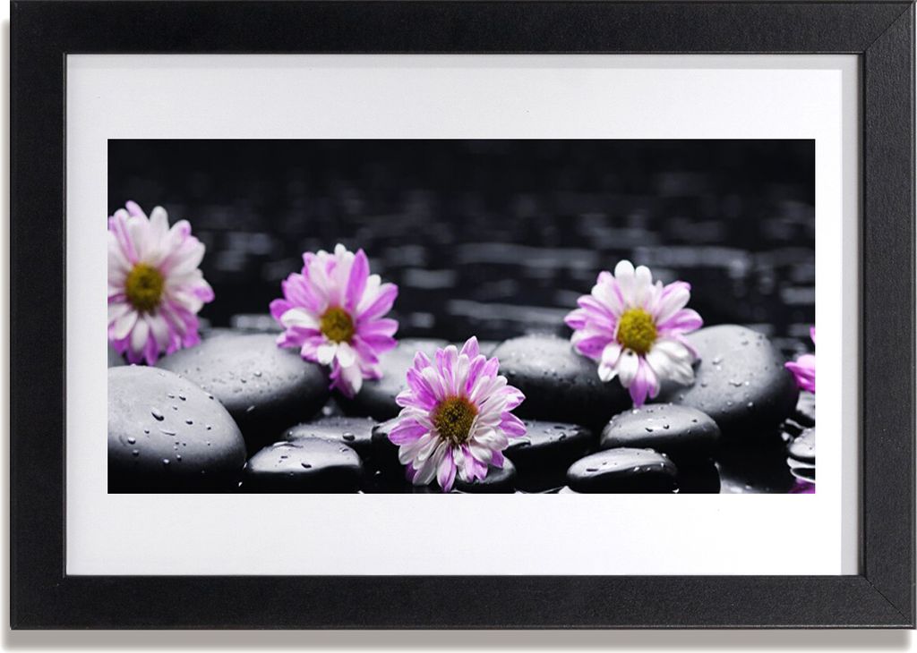 Bild 30x20 MDF-Rahmen Wandkunst Blume Orchidee Pflanze