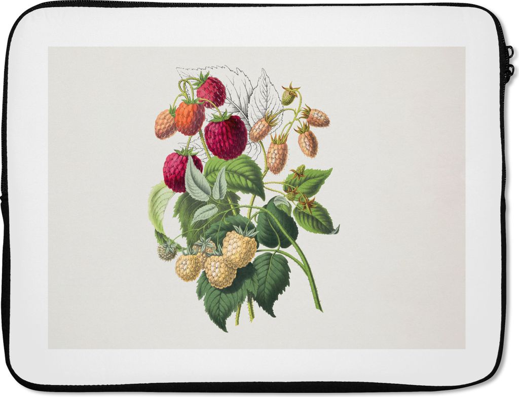 MuchoWow Laptop Hülle 17 Zoll Laptoptasche Himbeere - Frucht - Pflanze - Zipper - Schutzabdeckung