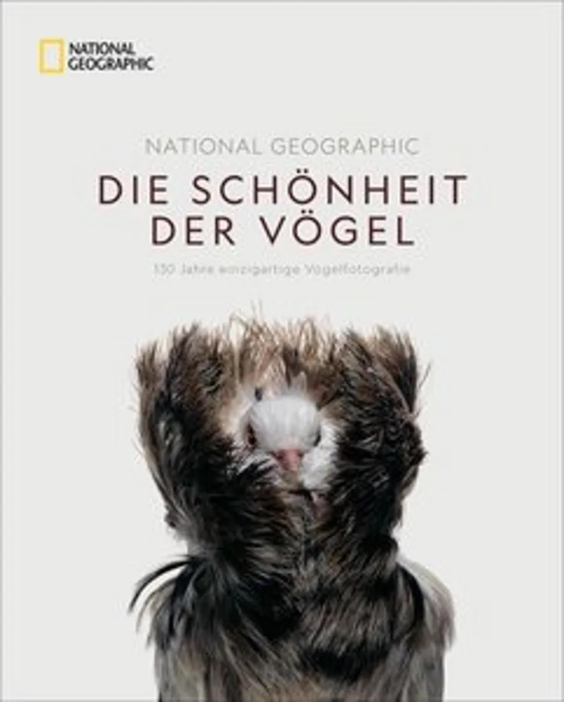 Livre Oiseaux National Geographic : Portraits haute définition et récits