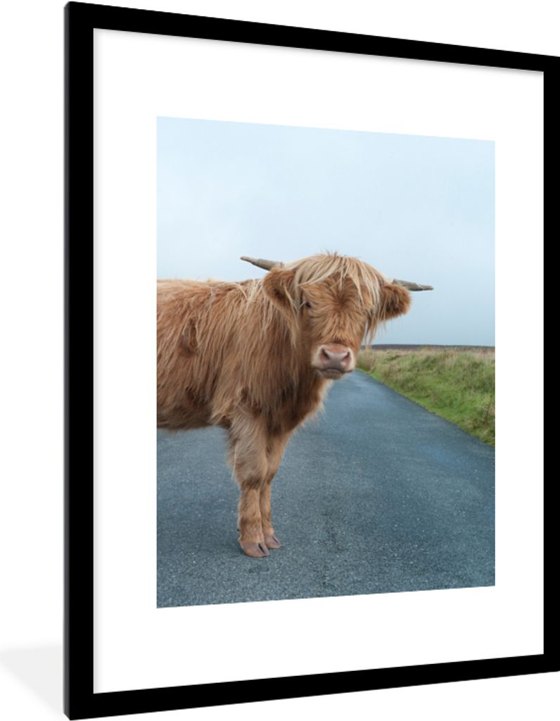 MuchoWow Gerahmtes Poster Scottish Highlander - Straße - Gras 60x80 cm - Poster mit Schwarzem Bilderrahmen Wandposter Rahmen Foto Bilder - Wohnz...