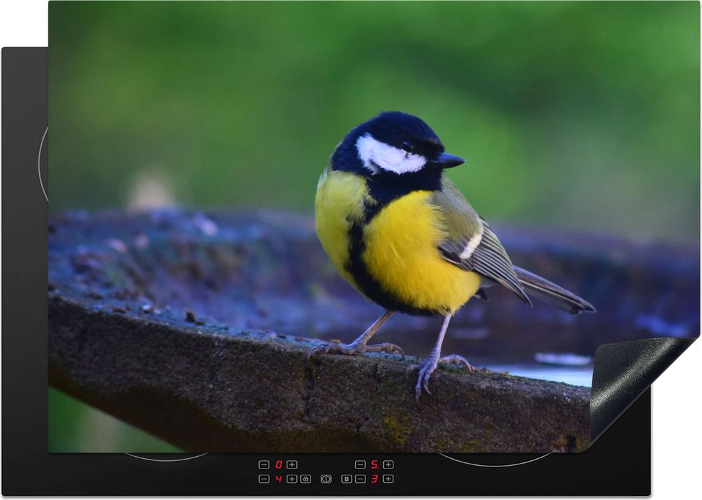 KitchenYeah Herdabdeckplatte Tolle Meise auf einer Granit-Vogeltränke , 75x52cm, Küche Deko, Glaskeramikfeld Herdabdeckung, Abdeckplatte fùr K...