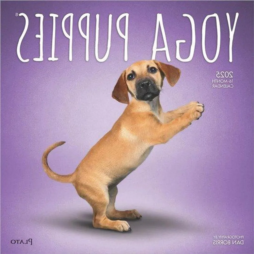 Grand Calendrier Mural Animaux 2025 - Planning 16 Mois - Thème Chiens