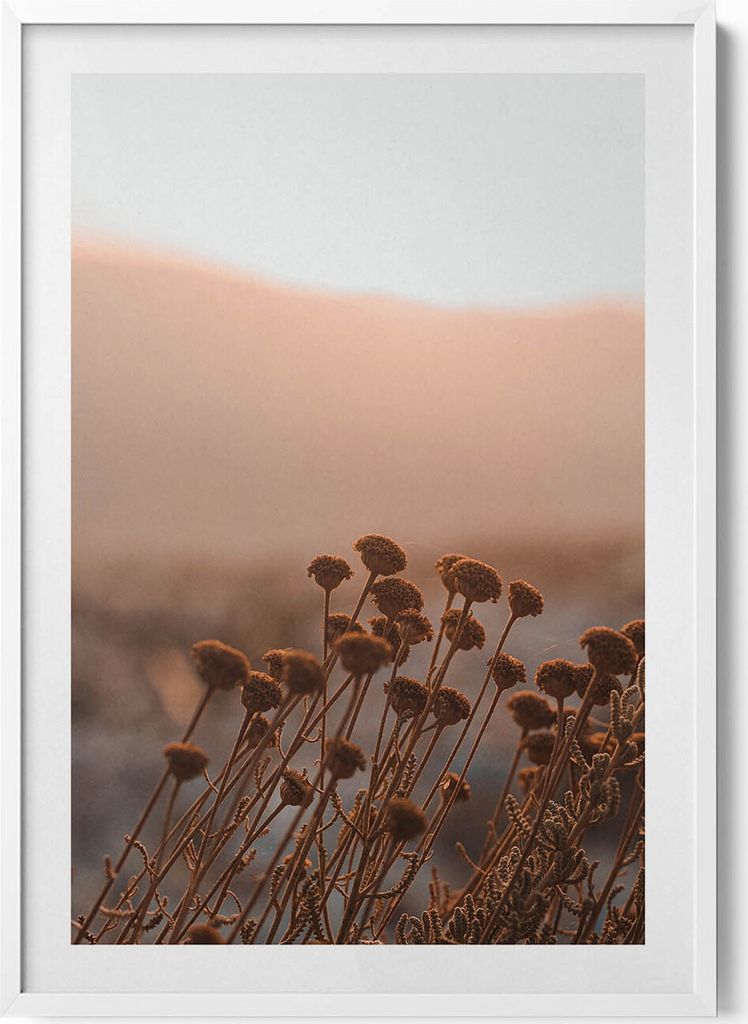 Romantische Graslandschaft im Boho-Stil– Wandbild mit Rahmen – Gerahmtes Bild – Wanddekoration – 70x100 cm – Weiß Rahmen